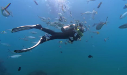 潜水视频,揭秘神秘海底世界