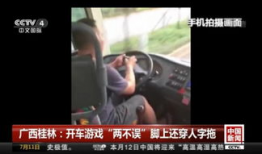 老司机免费观看视频,解锁视频盛宴的秘密通道