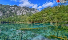 九寨沟视频,自然奇观与人间仙境的完美融合