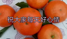 土豆视频,揭秘热门短视频背后的创作故事