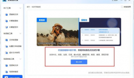 提取视频文字,揭秘XX领域的核心观点与趋势