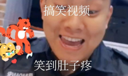 搞怪视频,欢乐瞬间尽在掌握