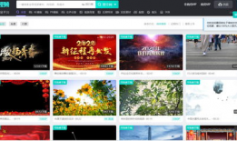 免费的视频素材网站,精选平台一览