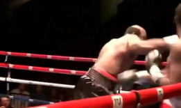 格斗视频,格斗视频精彩回顾