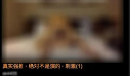 淫秽视频大全,暗流涌动的网络迷雾