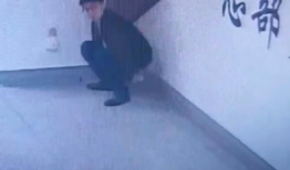 拉屎视频,一场关于人体排泄的奇妙之旅